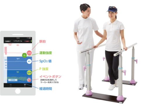 パルスフィット
