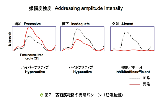 2表面筋電図による筋活動の評価   酒井医療株式会社