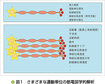 電 www.nihondengi.co.jp