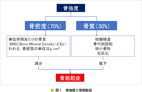 の 食べ物 に やすい 肩 化 石灰 なり 夜も眠れないくらいの肩の痛みを改善する方法とは!?｜東京都荒川区の肩専門施術《整体院Oasis