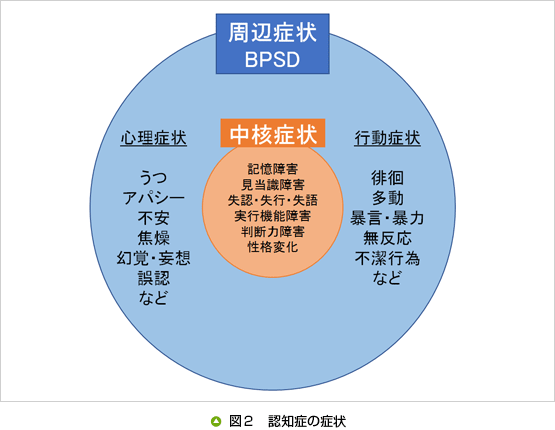 10 認知機能の低下 酒井医療株式会社