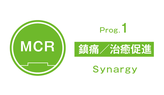 MCR:Program1 鎮痛/治癒促進 Synargy