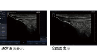 細部も見やすい。画像の全画面表示機能。