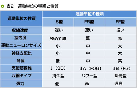 表2　運動単位の種類と性質