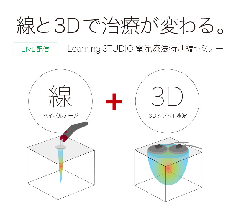 フィシオエナジェティック　頸椎の診断と治療法　テキスト フィシオエナジェティック 頸椎の診断と治療法 テキスト フィ